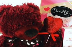 New teedy day vide status dawonload 2023