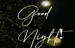 Good Night | Good night status video