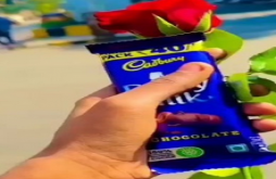 Rose Day | Rose Day video status