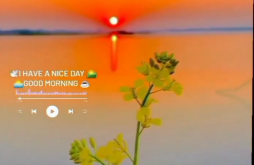 Good Morning new whatsapp video status