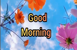 Good Morning video status