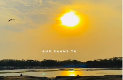 Good Morning whatsapp video status dawonload