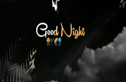 Good Night new whatsapp video status