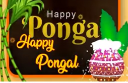 Happy Pongal Beautiful Full Screen WhatsApp Status Video Download