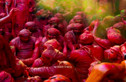 Holi | Holi video status