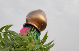 Latest Happy Ugadi Special WhatsApp Status Video Download