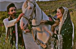 love status for new whatsapp video