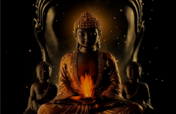 New video status video  Mahavir Swami Jayanti