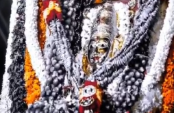 Pongal video status dawonlaod