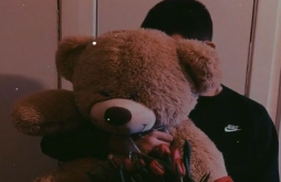 Teddy Day | Teddy Day new whatsapp video status