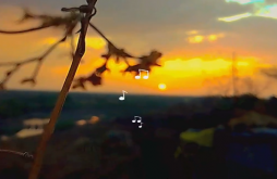 Good morning new whatsapp video status