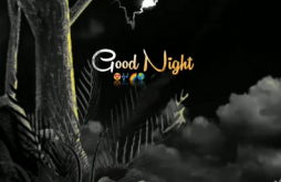 Good Night new whatsapp video status