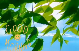 Good morning new whatsapp video