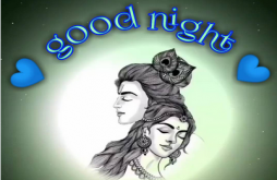 Good night whatsapp video status