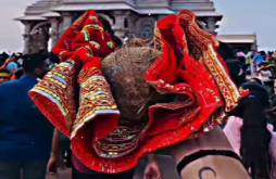 Mahakali maa new whatsapp video status