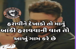 Attitude video status for whatsapp