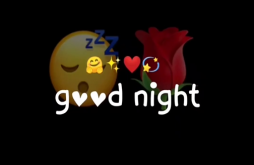 Good Night whatsapp video status