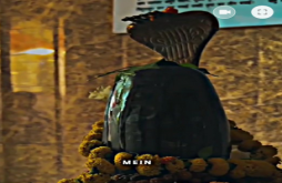 Mahadev video status