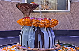 Mahadev whatsapp video status