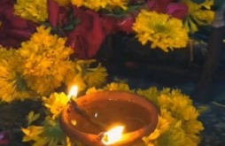 Bholenath video status download 2023 hd