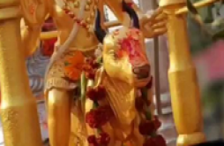 Dipawali status 2023 || diwali status 2023