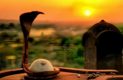 Mahadev video satus download 2023