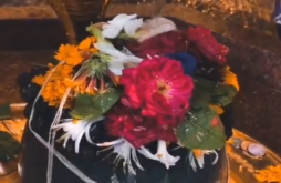 Mahadev video status download 2023