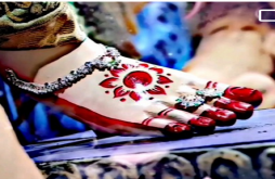 navratri status 2023