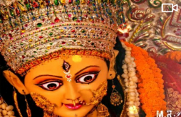 NAVRATRI STSTUS 2023