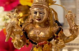 Dhan teras video status download 2023